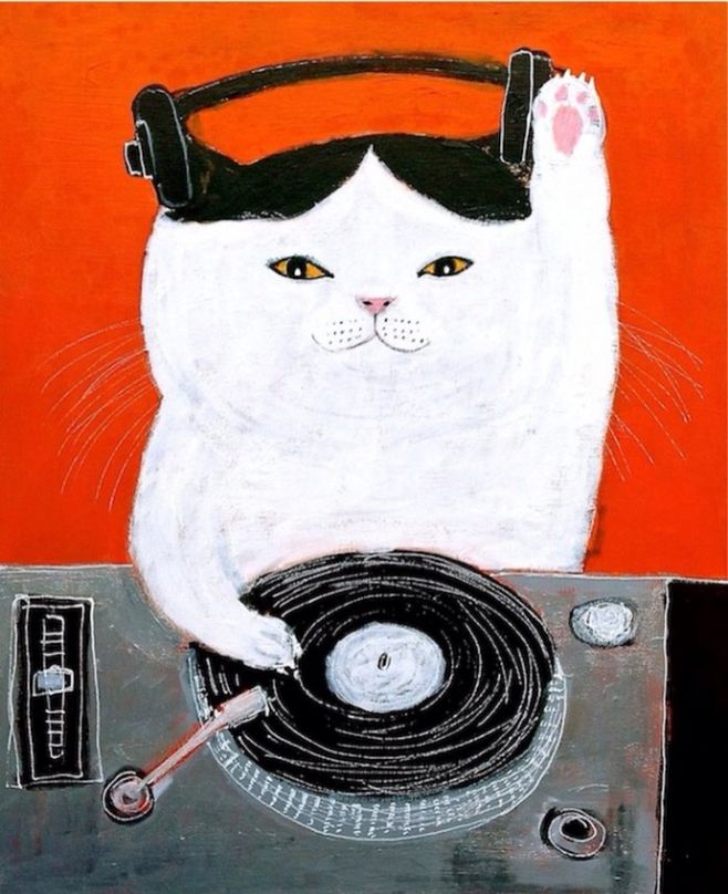猫咪可以经常喝羊奶粉吗？猫咪什