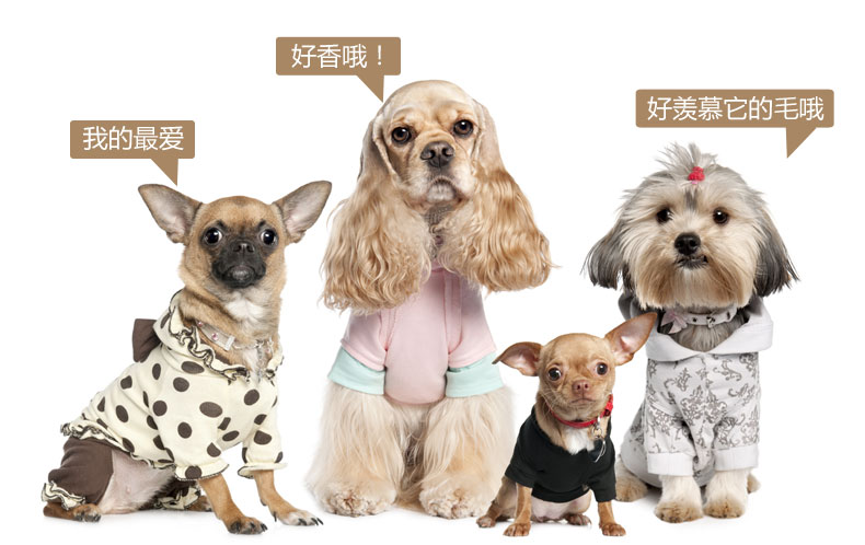 狗狗吃卵磷脂有什么益处？高品质
